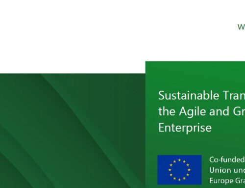 STAGE – SUSTAINABILITY FINANCIAL GRANT PROGRAMME